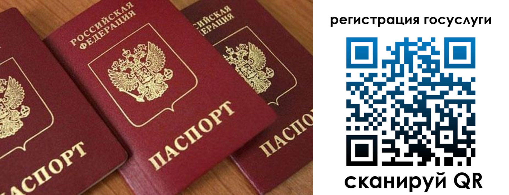 временная регистрация гарантия в Мончегорске